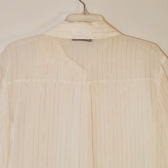 Zara Sheer Button Blouse - Picture 9 of 11